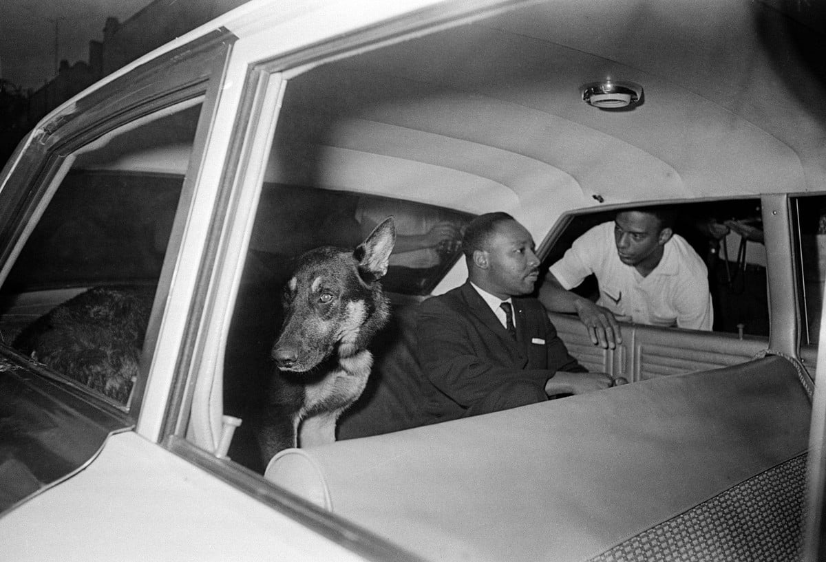 O MLK σε περιπολικό, επιστρέφει στη φυλακή, αφού κατέθεσε για τις αναταραχές στην πόλη του Άγιου Αυγουστίνου, Florida, 12 Ιουνίου 1964 / o Andrew Young, που διακρίνεται επίσης, συμμετείχε το Νοέμβριο του 1963, σε εκστρατεία εκμάθησης γραφής και ανάγνωσης στη νότια Καρολίνα για την επιτυχή συμμετοχή στις γραπτές εξετάσεις, που ήταν αλληλένδετες με το δικαίωμα ψήφου