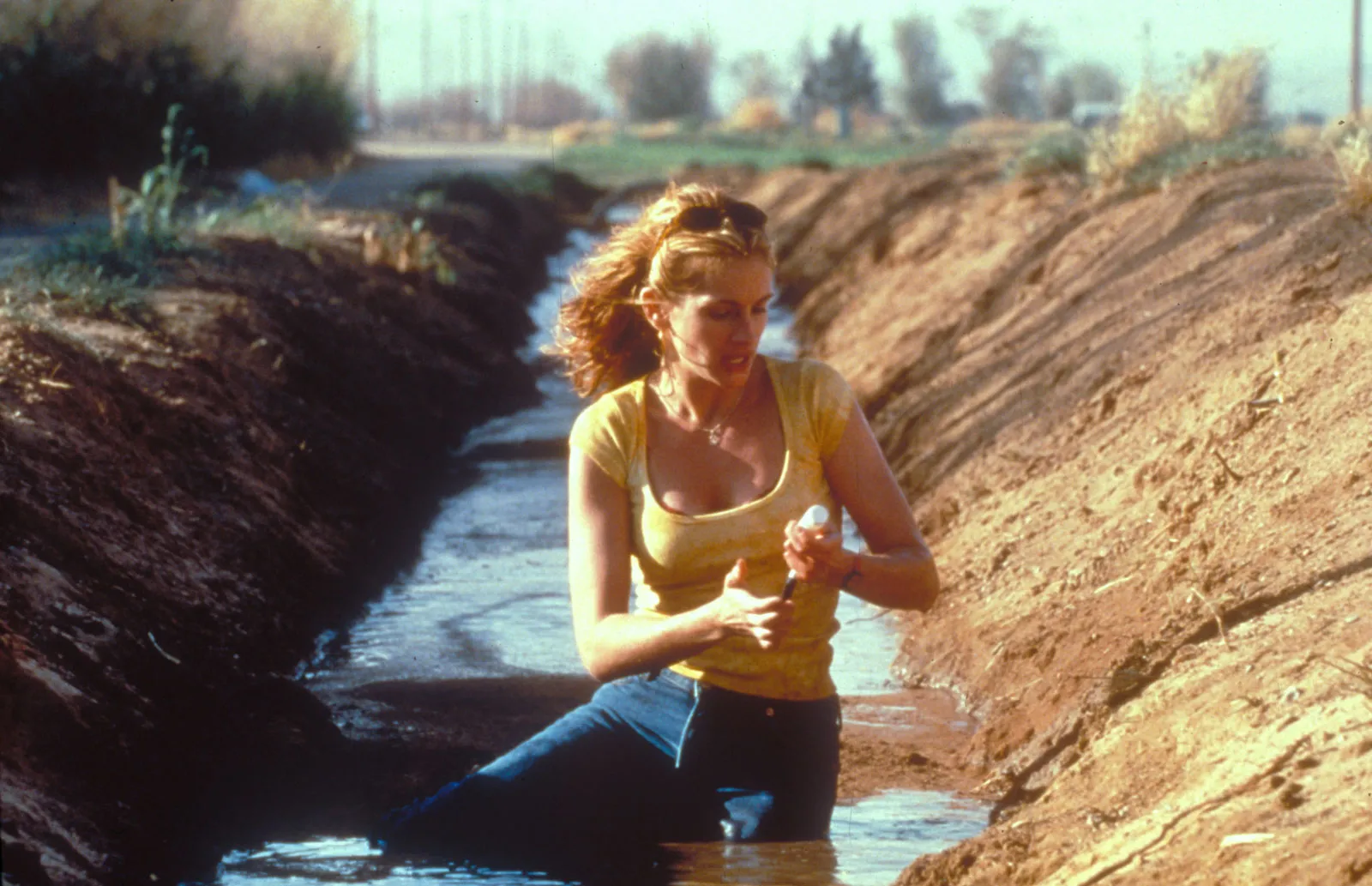 Η Julia Roberts ως Erin Brockovich