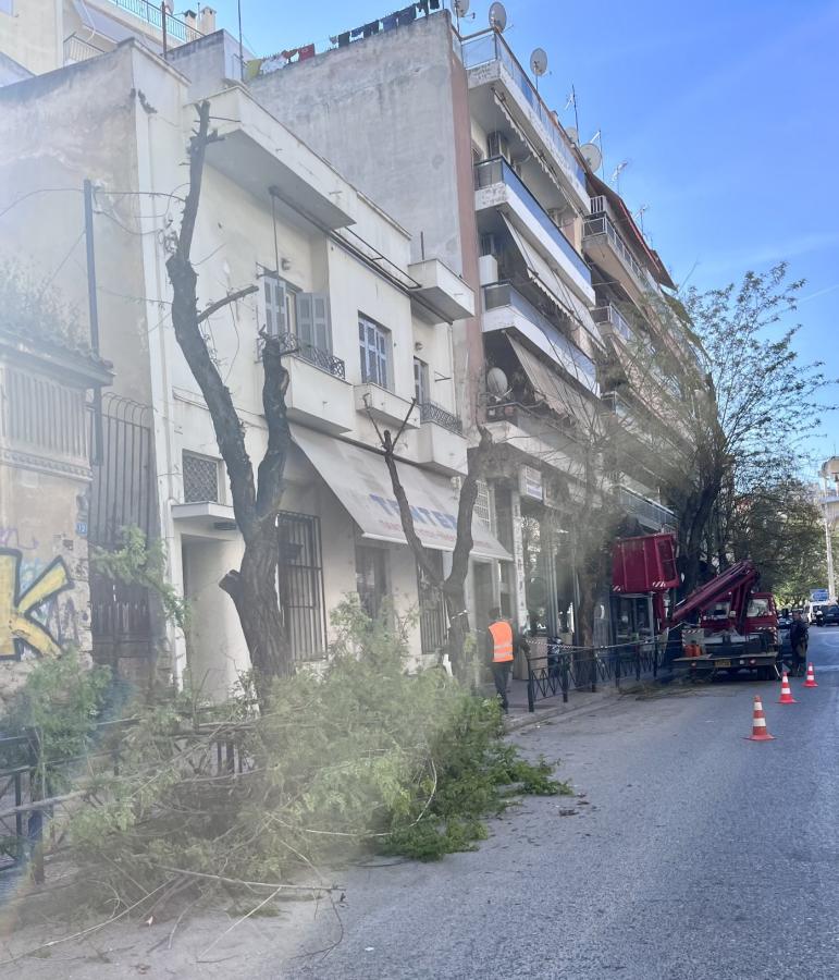 Δημήτρης Ιμπραήμ (Greenpeace), οδός Δυρραχίου, Σεπόλια 