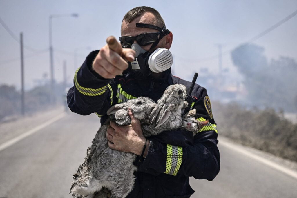 Spyros Bakalis, AFP