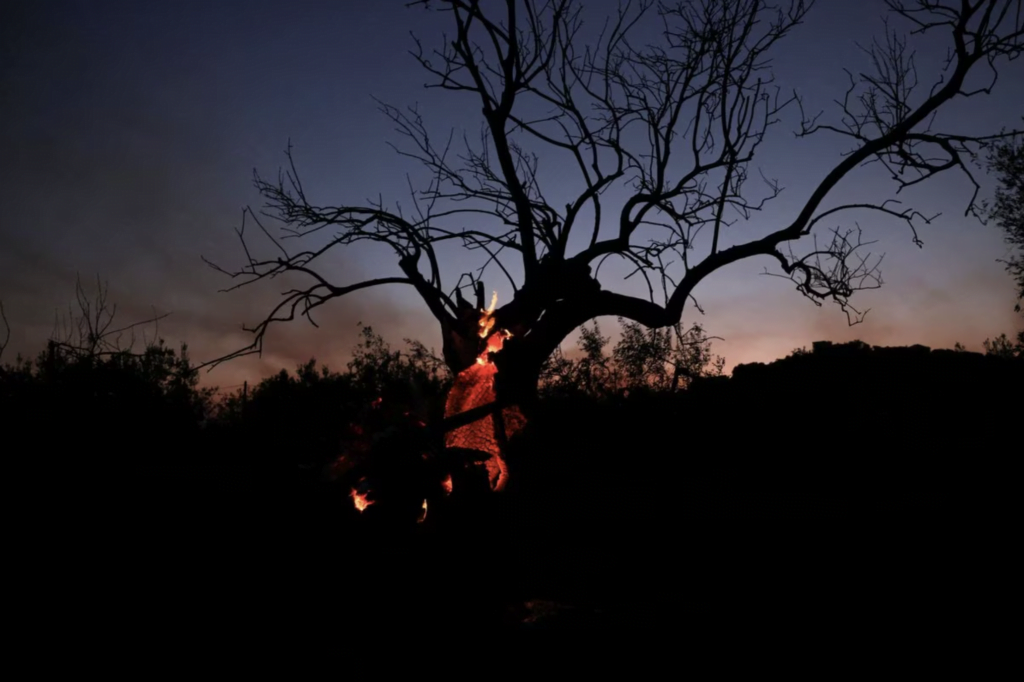Νέα Αγχίαλος / Reuters, Alexandros Avramidis