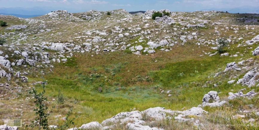 δολίνη στο υψίπεδο της Σφήκας κοντά στην κορυφή Μεγαλέξανδρος (αρχείο ΕΠΠ: Γ. Ηλιόπουλος, 2022)