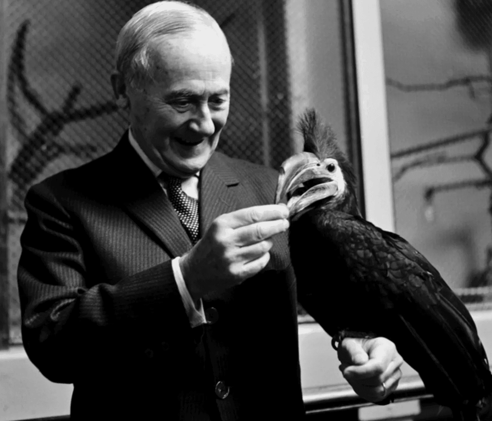 o Joan Miró στον ζωολογικό κήπο Λονδίνου με ένα βούκερο (hornbill), 1964